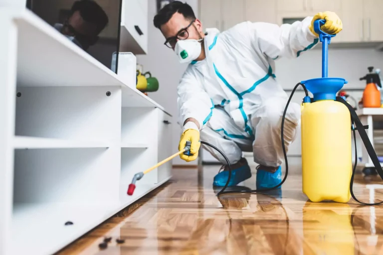 AdobeStock_411971550-scaled