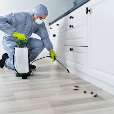 Exterminator In Workwear Spraying Pesticide With Sprayer